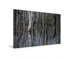 Calvendo Premium Textil-Leinwand 120 cm x 80 cm quer, Birkenwald | Wandbild, Bild auf Keilrahmen, Fertigbild auf echter Leinwand, Leinwanddruck: Birkenwald im Wasser - mit Spiegelung Natur Natur