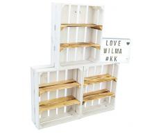 flache Obstkiste Wilma weiß mit zwei geflammten Einlegeböden / Zwischenbrettern ca 50x40x16cm/ Regalkiste Gewürzregal Apfelkiste / Weinkisten Ablageregal Aufbewahrungskiste (3, Holz)