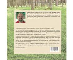 Bunte Körbe aus Gräsern und Kräutern: Die Technik des Korbwickelns neu entdeckt