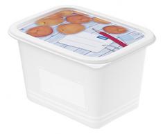 Rotho 6116710120 Gefrierdose Domino - Aromafeste Aufbewahrungsbox mit beschreibbarem Deckel - 4er Set Vorratsdose BPA-frei - Reinigung der Gefrierdose in der Spülmaschine - 1 l Inhalt pro Gefrierbox - weiss