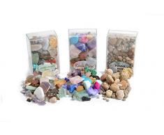Fossil, Rock & Gemstone Box by Fossil Gift Shop