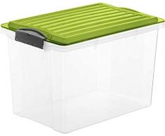Rotho Compact Aufbewahrungskiste 19 l mit Deckel, Kunststoff (PP), grün/transparent, 19 Liter / A4 (39,5 x 27,5 x 27 cm)