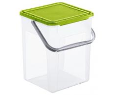 Rotho Basic Aufbewahrungsbox 9 l mit Deckel, Kunststoff (PP), transparent/grün (23 x 22,5 x 27,5 cm)