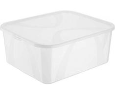 Rotho Arco Aufbewahrungsbox 19 l, Kunststoff (PP), Transparent, 19 Liter