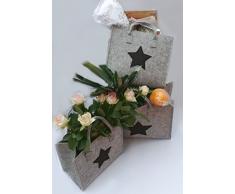 LaFiore24-3er Filztaschen Set mit Sternenmotiv Einkaufskorb Shoppingtaschen Zeitschriften Organizer Aufbewahrungshelfer Deko Handtasche Einkaufstasche Holzkörbe Magazinhalter (Hellgrau)