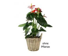 casamia Pflanz-Korb groß mit Kunststoffinlett aus Rattan kubu Grey, One Size