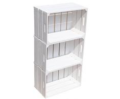 4 Stück neue stabile Obstkisten Stiege, Apfelkiste, Weinkiste aus dem Alten Land +++ Natur 54x35x30 cm (weiß)