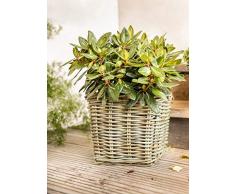 Dekoleidenschaft Pflanzkorb Koboo Grey aus Rattan, quadratisch, grau, groß