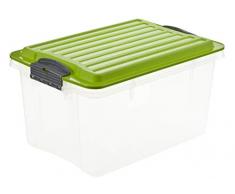 Rotho Compact Aufbewahrungskiste 4.5 l mit Deckel, Kunststoff (PP), grün/transparent, 4.5 Liter / A5 (27 x 18,5 x 15 cm)
