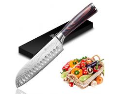 PAUDIN 17cm Santokumesser Kochmesser aus deutschem Messerstahl, Sushi Messer Küchenmesser mit ergonomischem Griff für Haus und Restaurant