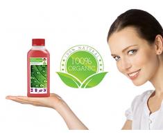 Flüssig-Entkalker für Espresso-Maschine, Padmaschine, Dampfbügeleisen etc. | 12x250ml (3l) Kalklöser geeignet für Bosch, Siemens, Miele, Senseo, Saeco, Nivona uvm. | Auf Basis organischer Säuren