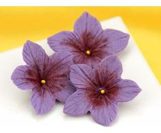 Silikon Teigschaber 12314Â Stempel Set Petunia/9Â x 9Â x 2Â cm grÃ¼n