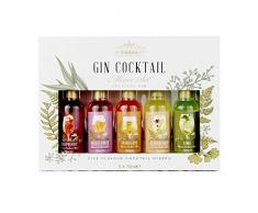 Modern Gourmet Foods - Cocktail Mix Geschenkset Für Gin - Set Mit 5 Cocktail-Mixturen - 5 Verschiedene Geschmackssorten
