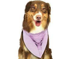 N/B Bbgsw Hunde-Kopftuch, leer, transparent, Margarita-Glas, bunt