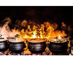 Shenglex Malen nach Zahlen Malerei DIY digitales Kit Leinwand Kunstwerk Gemälde Geschenke Dekorationen (40X50 cm) Rahmenlos--Kochende Eisenpfanne in Brand