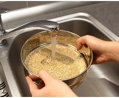 FACKELMANN Wasch-/Mehlsieb extra fein, ideal für Superfood wie Quinoa oder Chia, auch als Mehl-/ Schüttelsieb verwendbar (Farbe: Silber), Menge: 1 Stück