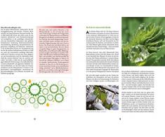 Handbuch gesunde Küche: Wohlfühlen und genießen mit dem Vital-Teller-Modell. Über 200 köstliche Rezepte