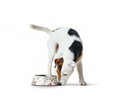 Hunter ht65142 groß 700 ml/23,7 oz Melamin Schüssel Mogami