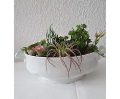 Terrine Gesteck Suppenterrine Sukkulenten Kunstblumen Nostalgisch