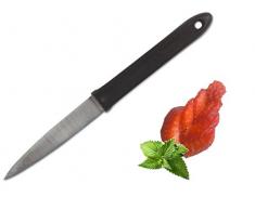 Spickmesser Cm.10 Edelstahl Ilsa