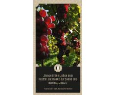 Genussbox Wein: Eine Reise um die Welt mit einem Glas in der Hand (Collection Lardon by moses.)