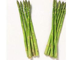 good01 20 Stücke Gemüsesamen, Topf Bonsai Spargel Samen Zum Anpflanzen Am Hof ​​Garden Farm Köstliche Gemüse Hause Bonsai Pflanzen Spargel Samen