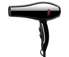 LLF Haartrockner Haartrockner , Negative Ionen 2000W High Power Salon Friseur Spezialtrockner schnell / 220V