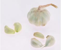 Westmark Knoblauchpresse, Länge: 15,2 cm, Aluminium, Biopress, Silber, 30102260