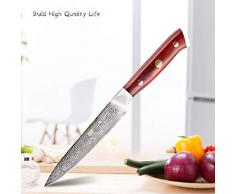 CLASSESWORLD Pro-Küchenmesser 5-Zoll-Japaner AUS-10 aus hochwertigem, rostfreiem Stahl mit 67 Schichten Damaszener Stahl Deba-Messer Kochmesser mit ergonomischem G10-Griff aus Rosenholz
