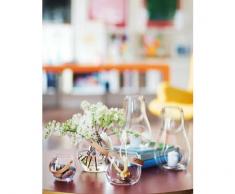 Holmegaard 4343517 DWL Schale, Glas