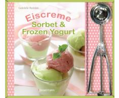 Eiscreme, Sorbet & Frozen Yoghurt-Set: Buch und Eisportionierer