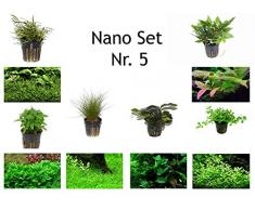 Tropica Nano Set mit 6 Einfachen Kleinen Topf Pflanzen Aquariumpflanzenset Nr.5 Wasserpflanzen Aquarium Aquariumpflanzen