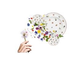 Villeroy & Boch Petite Fleur Speiseteller, Premium Porzellan