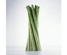 quanjucheer 20 Stück Topf Spargel Samen Spargel Samen Garten Hof Farm Delicious Vegetable Home Bonsai Pflanze Spargelsamen