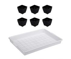 CHUJIAN 6/12/15 PC/Satz Square Kunststoff Succulents Pflanzer Töpfe mit Tablett-Set for Kinder Kaktus Blumentopf Garten Supplies (Farbe : Multi)