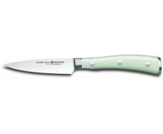 WÃSTHOF 4086-0/09 Spickmesser