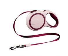 XIAOXIONG Traktion Seil, Automatische Teleskopische Hund Kette Gehen Hund Seil In Großen Hund Goldenen Teddy Haustier Liefert Kragen 5m A-Wein Rot