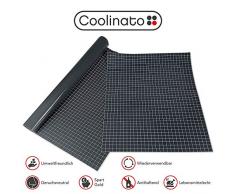 Coolinato® 2 Hochwertige Silikon Backmatten (38x30cm und 40x60cm) - rutschfeste Dauerbackfolie für Backofen und als Backunterlage und Teigunterlage | Umweltfreundlich und Spülmaschinenfest