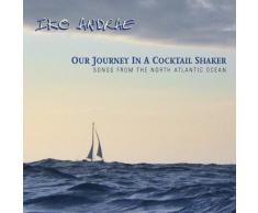 Our Journey In A Cocktail Shaker