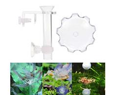 ARTOCT Ernährungssonden-Set Fisch-Ernährungssonden- und Tablett-Set Aquarium-Feeder-Set Aquarium