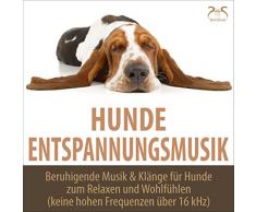 Spülmaschine - gleichmäßiges Geräusch mit beruhigendem Blubbern und leichtem Brummen - keine hohen Frequenzen