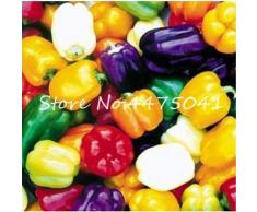 CUSHY Seeds: 100 Stück Bonsai Köstliche Auberginen-Pfeffer-Kürbis Kohl Shallot Tomate Balkon Garten Four Season Gemüsetopf: 4