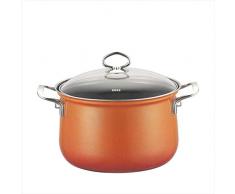 Riess Fleischtopf M.Glasd. 20Cm,3.5L Corall