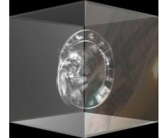 VIP-LASER 3D Glas Kristall im XL Glaswürfel Sternzeichen Löwe (60x60x60 mm) High Quality Lasergravur