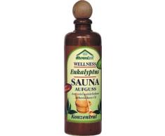 Saunaaufguss im Steinkrug Eukalyptus 100ml