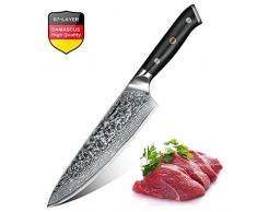 Aroma House Damastmesser Küchenmesser, 8 Zoll (20 cm) Damast Kochmesser 67-Schicht Hand Gefertigt Professional Damaszener Messer Chefmesser mit Japanisch Damaststahl Scharf Klinge /G10 Griff