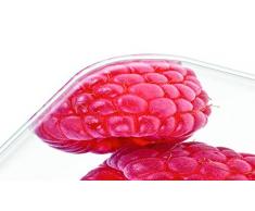 Beurer KS 19 Berry Küchenwaage (digitale Küchenwaage, mit Tara-Zuwiegefunktion, Sensortastenbedienung, 5 kg Tragkraft)