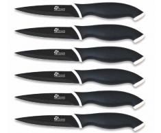 Pradel Excellence CC006N Kasten mit 6 Antihaft-Steakmessern aus rostfreiem Edelstahl, Anisfarben