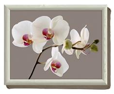Creative Tops Orchid Harmony Knietablett, 43,8 x 33,8 cm (17 x 13 Zoll)