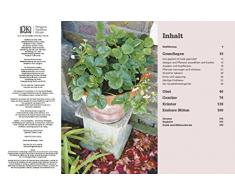 Frische Ernte ohne Garten: Obst und Gemüse aus dem Topf